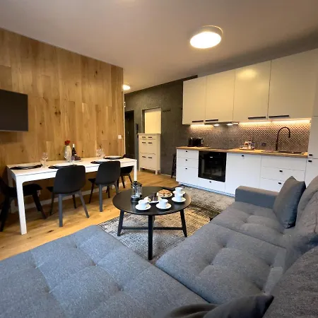 Urban Apartments Premium No 3, Free Private Parking, Self Check-In Chorzow Exterior photo