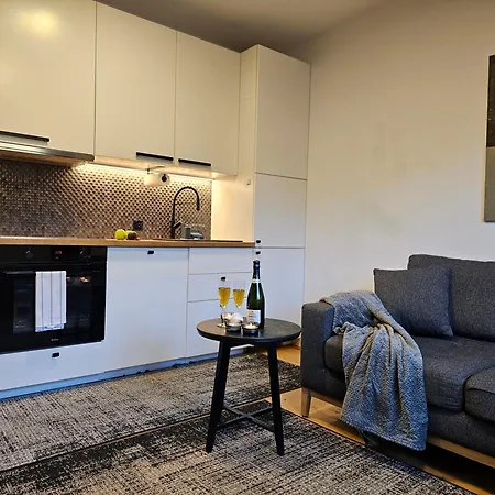 Urban Apartments Premium No 3, Free Private Parking, Self Check-In Chorzow Exterior photo